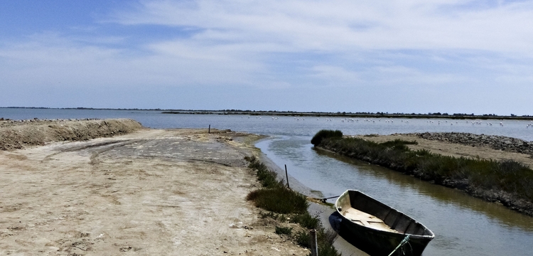 La Camargue